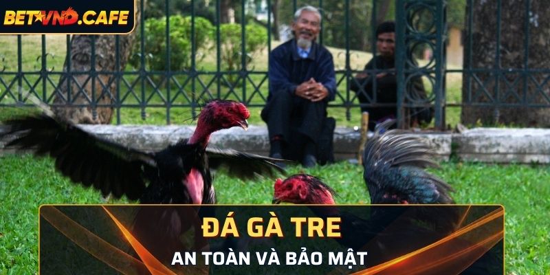 An toàn và bảo mật