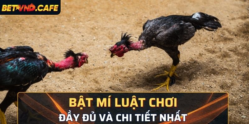 Bật mí luật chơi đầy đủ và chi tiết nhất