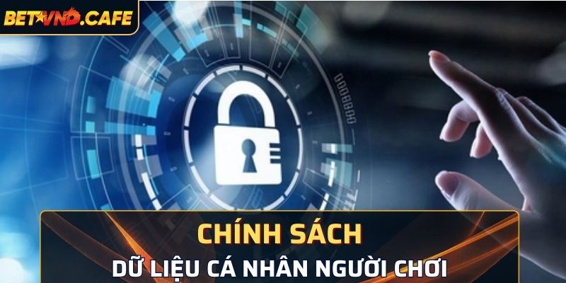 Chính sách về dữ liệu cá nhân người chơi