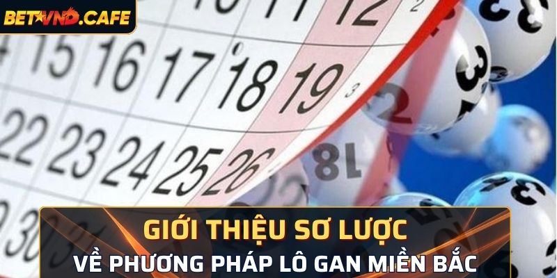 Giới thiệu sơ lược về phương pháp lô gan miền Bắc