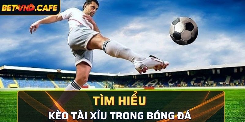 Kèo tài xỉu