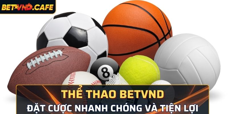 Nhà cung cấp nền tảng cá cược thể thao uy tín số 1 Việt Nam